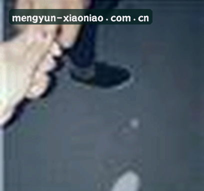陈雅莉