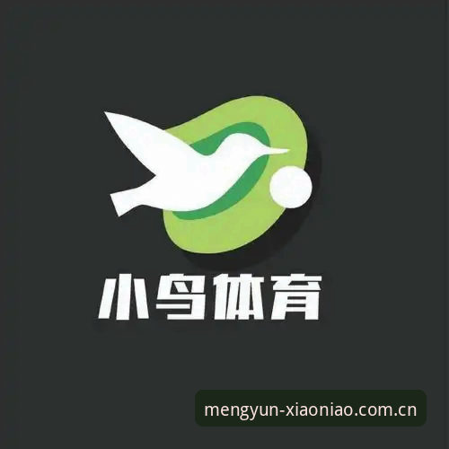 小鸟体育平台云端账户全面评测：注册、登录与多账户对比分析